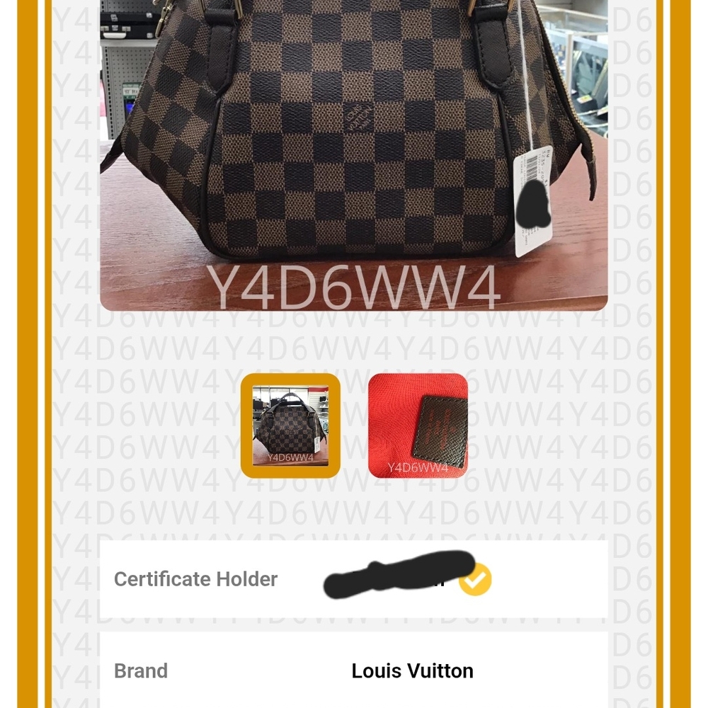 Louis Vuitton Brown Checkered Women's Bag
